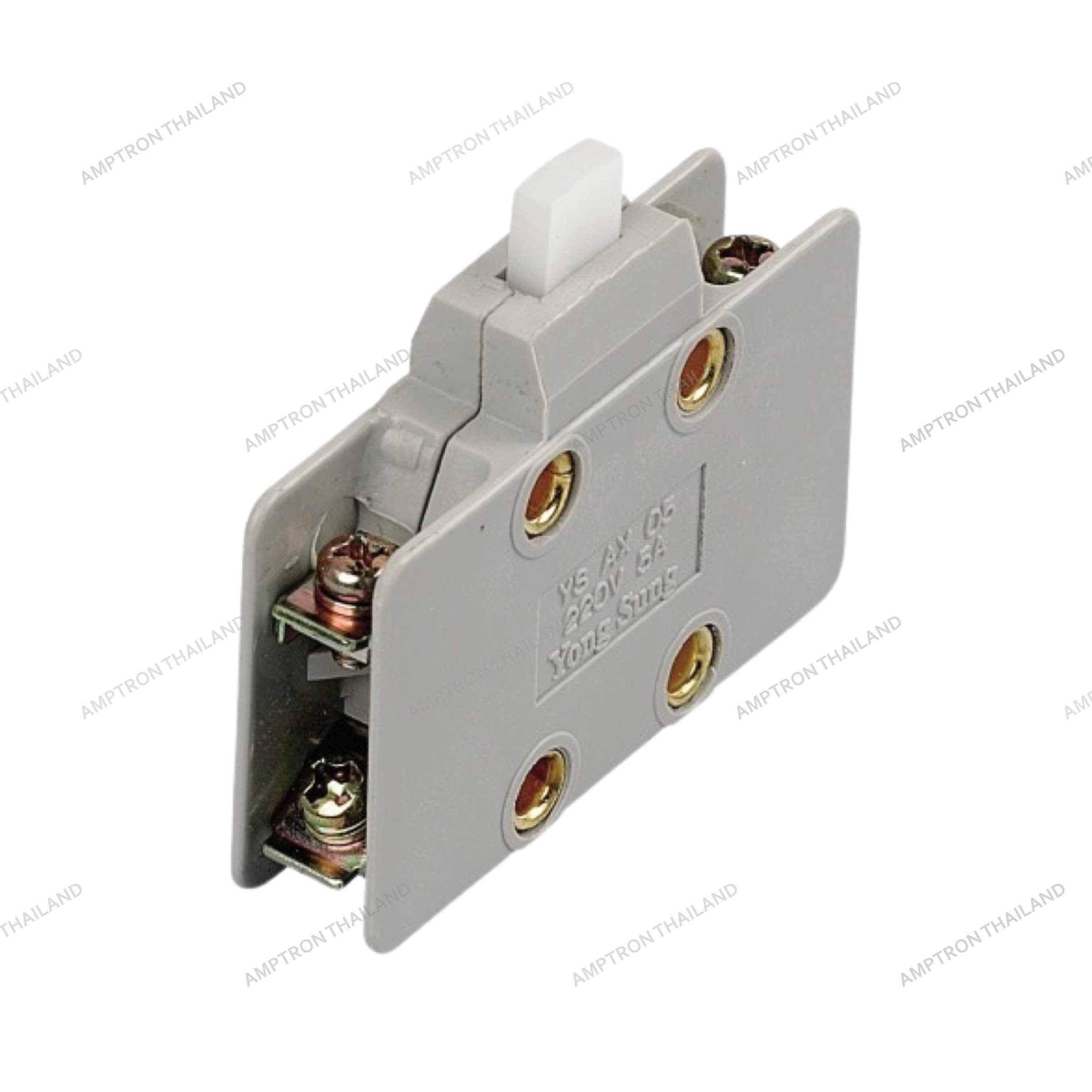 Auxiliary Switch (5, 10A)