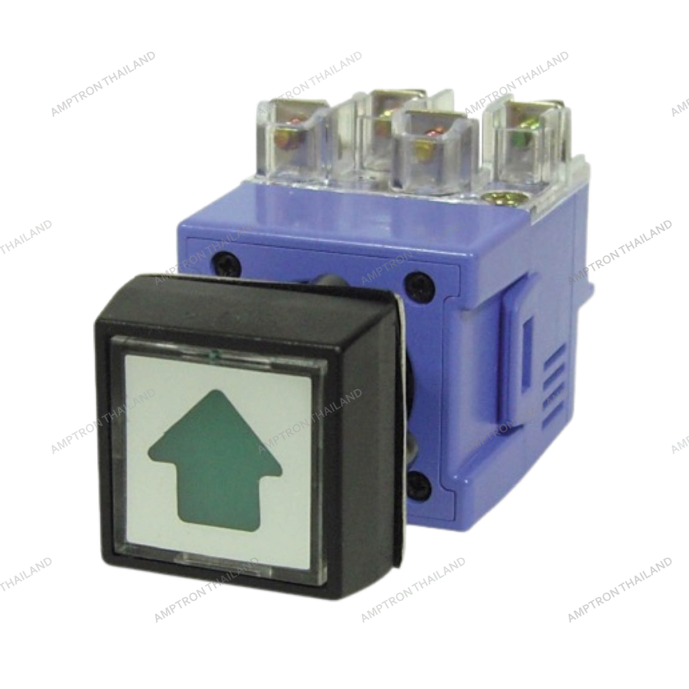 Illuminated Push Button Switch (A Type)